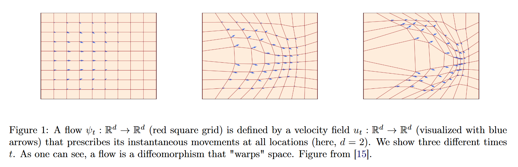 flow and vector field of the flow evolution
